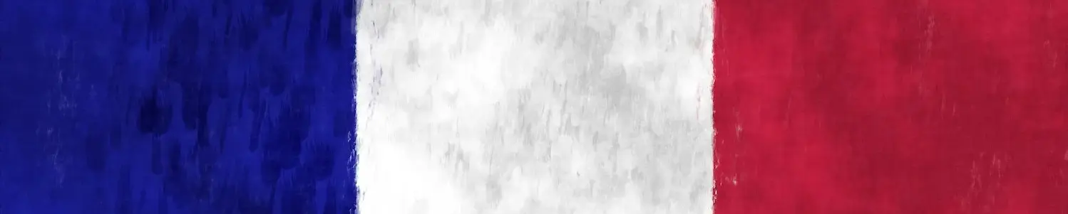 Installateur Monte Escalier